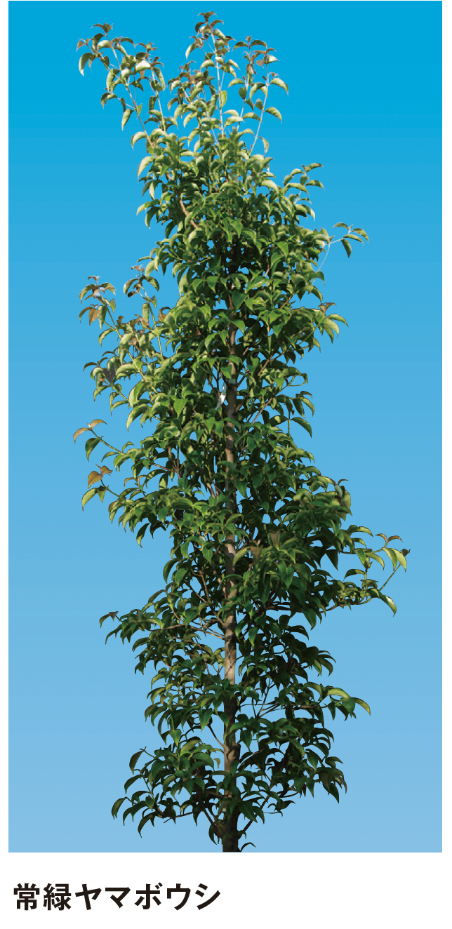 メイクランドの「シンボルツリー」のサブ画像6