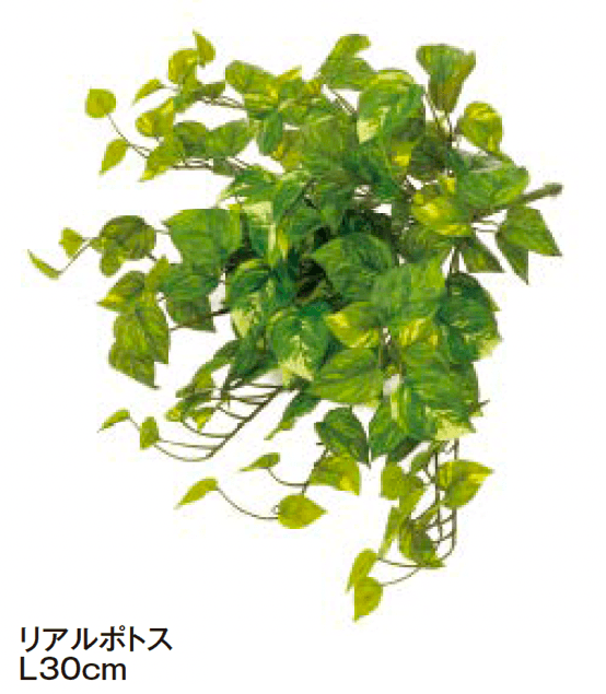 タカショーの「ハンギング【2024年版】」のサブ画像2