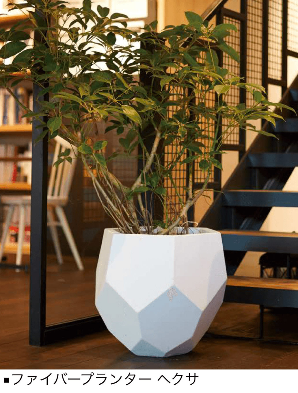 オンリーワンクラブの「ファイバープランター」のサブ画像8