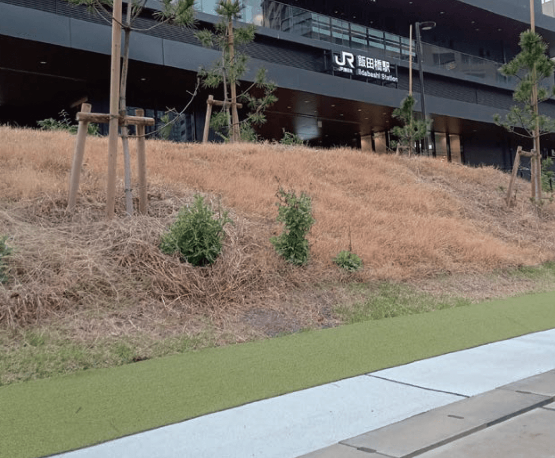 セキスイデザインワークスの「人工芝 エフティーターフショート」