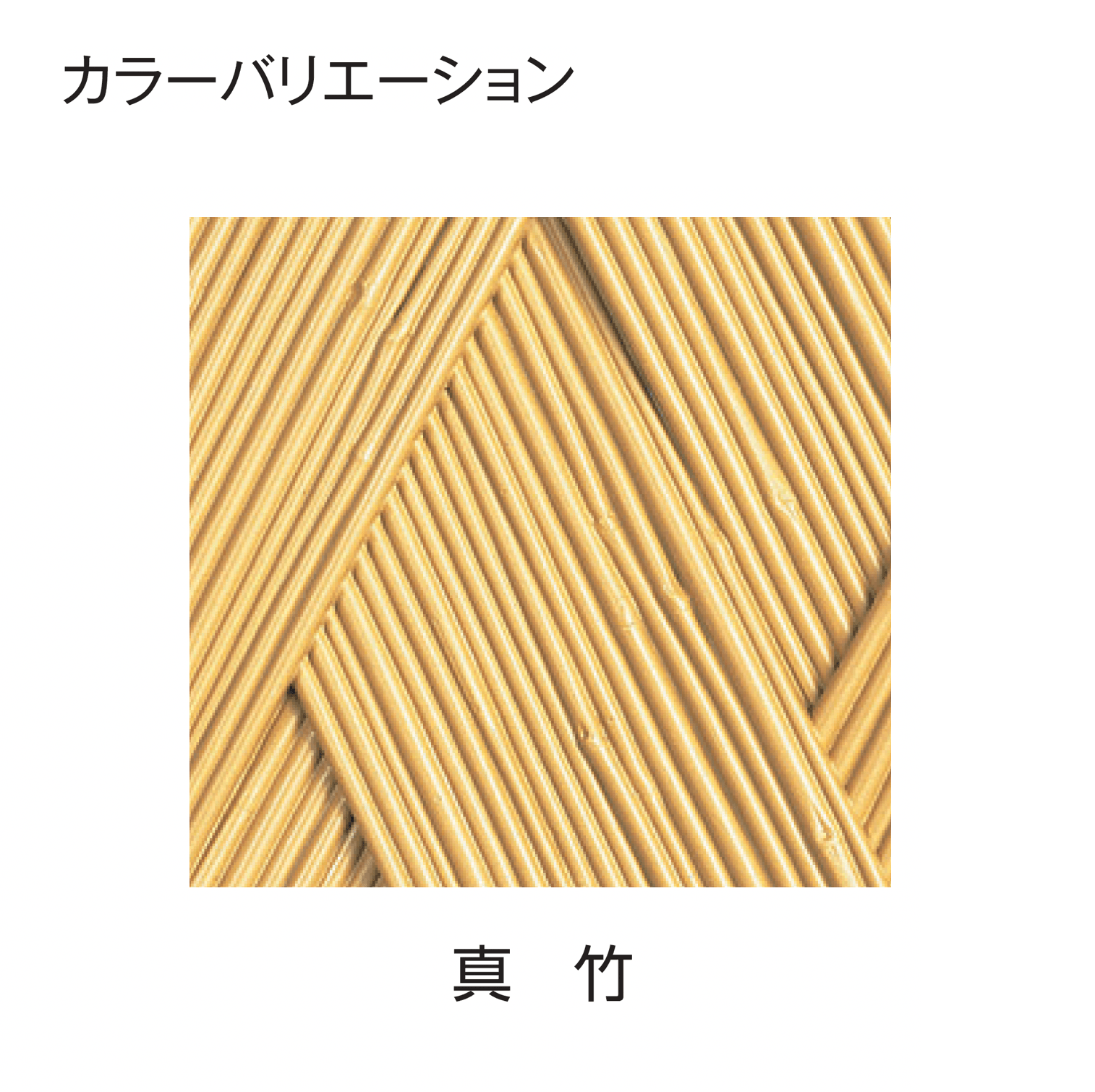 タカショーの「エバー21型セット(エバー美良来®︎セット)」のサブ画像4