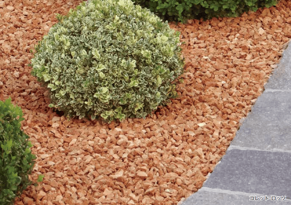 オンリーワンクラブの「コレット【2023年版】」