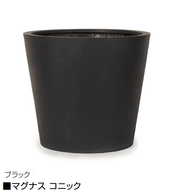 オンリーワンクラブの「マグナス」のサブ画像24