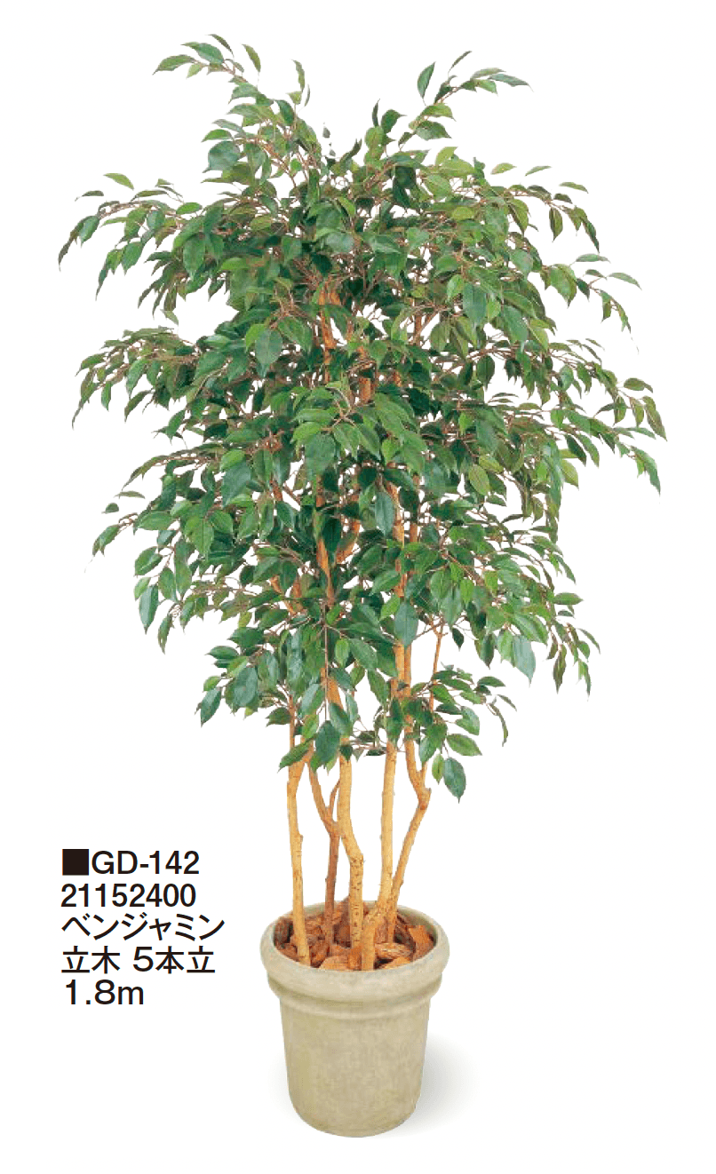 タカショーの「観葉植物【2024年版】」のサブ画像5