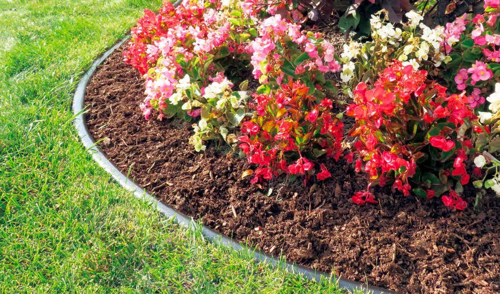 EXDECOの「ブラックジャック」