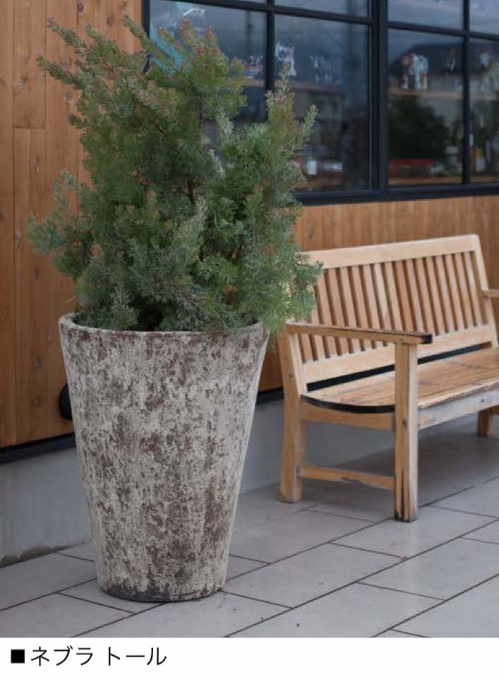 オンリーワンクラブの「ネブラ」