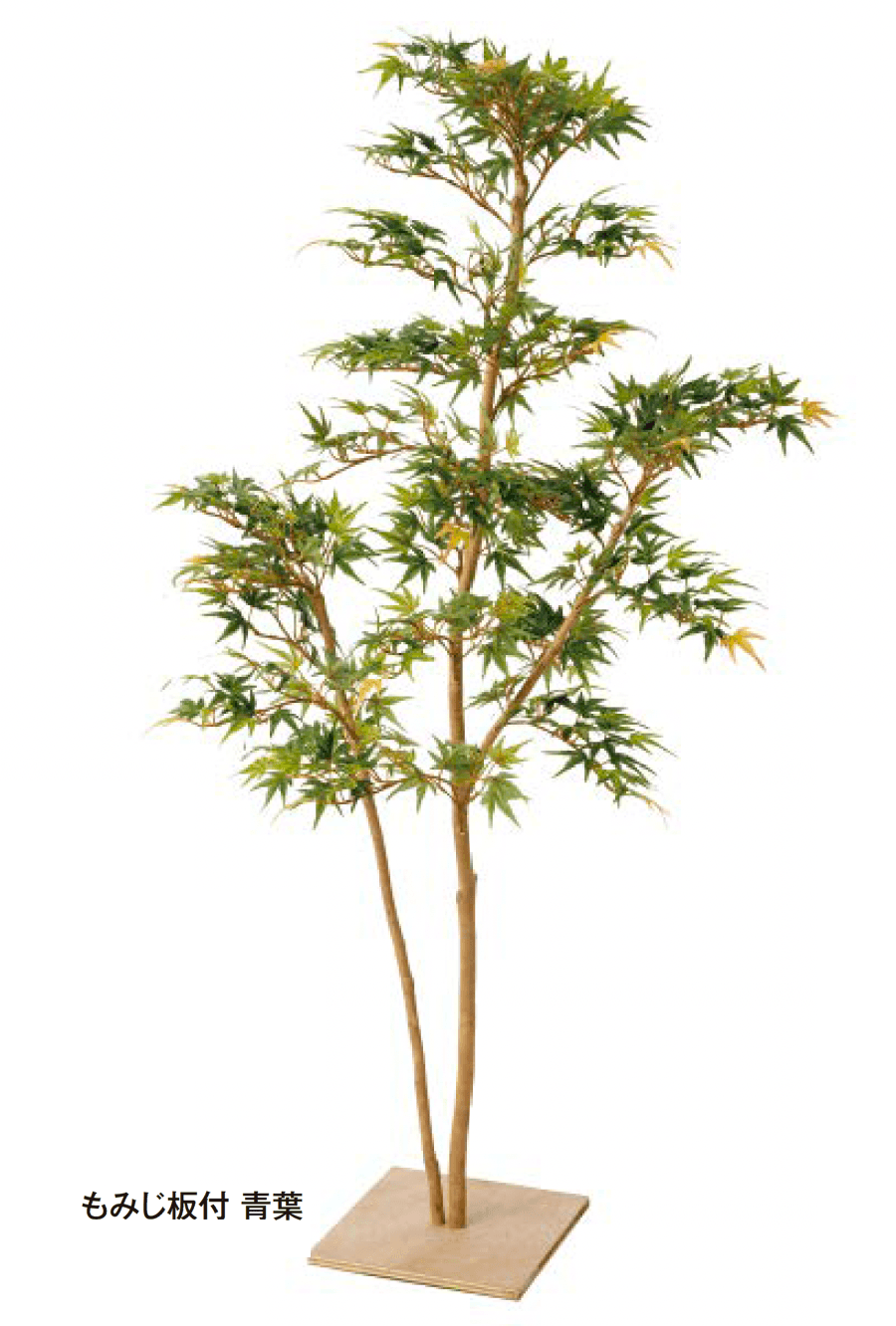 タカショーの「和風もみじ」のサブ画像5