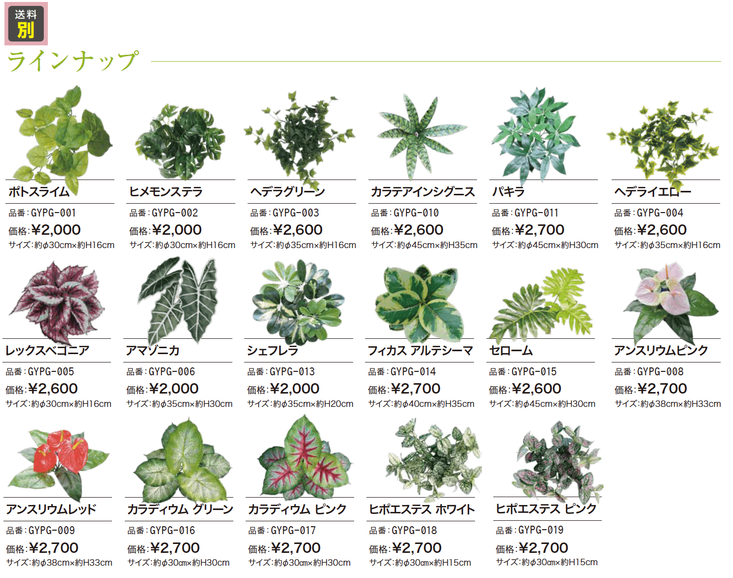 ぴたっとグリーン【2023年版】_価格_1