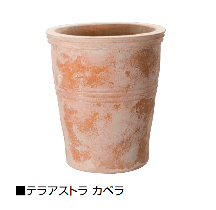 オンリーワンクラブの「テラアストラ」のサブ画像5