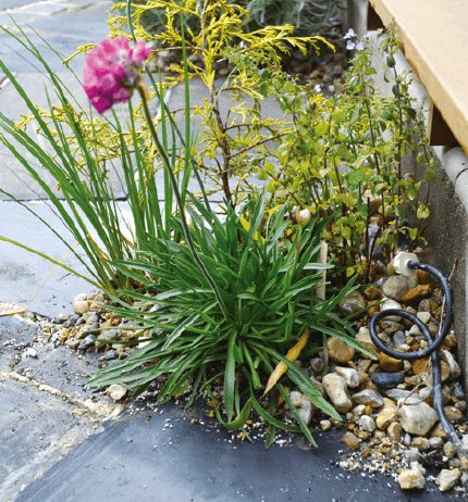 ゆとりの「ガーデン散水キット【2024年版】」のサブ画像1