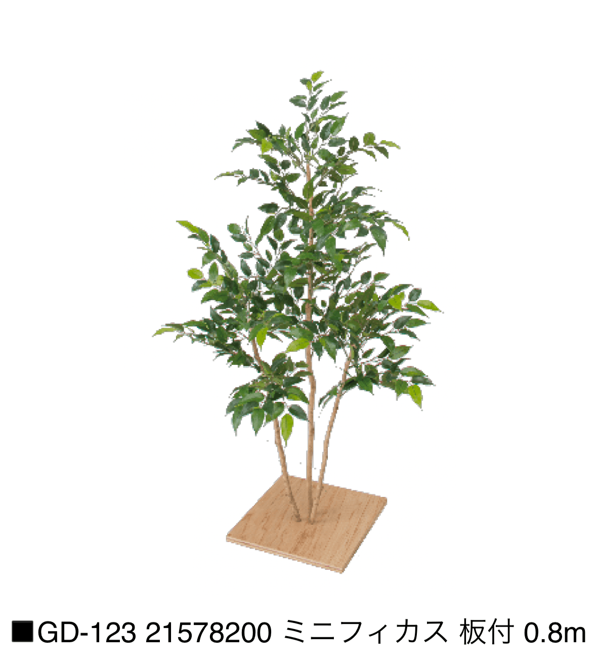 タカショーの「観葉植物【2025年版】」のサブ画像28