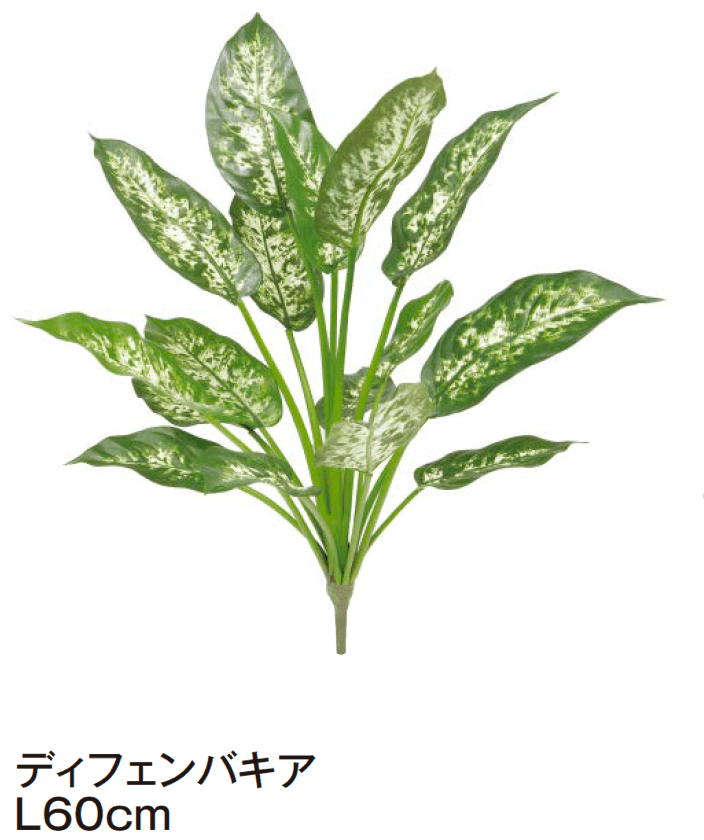 タカショーの「グランドカバー 下草【2024年版】」のサブ画像16