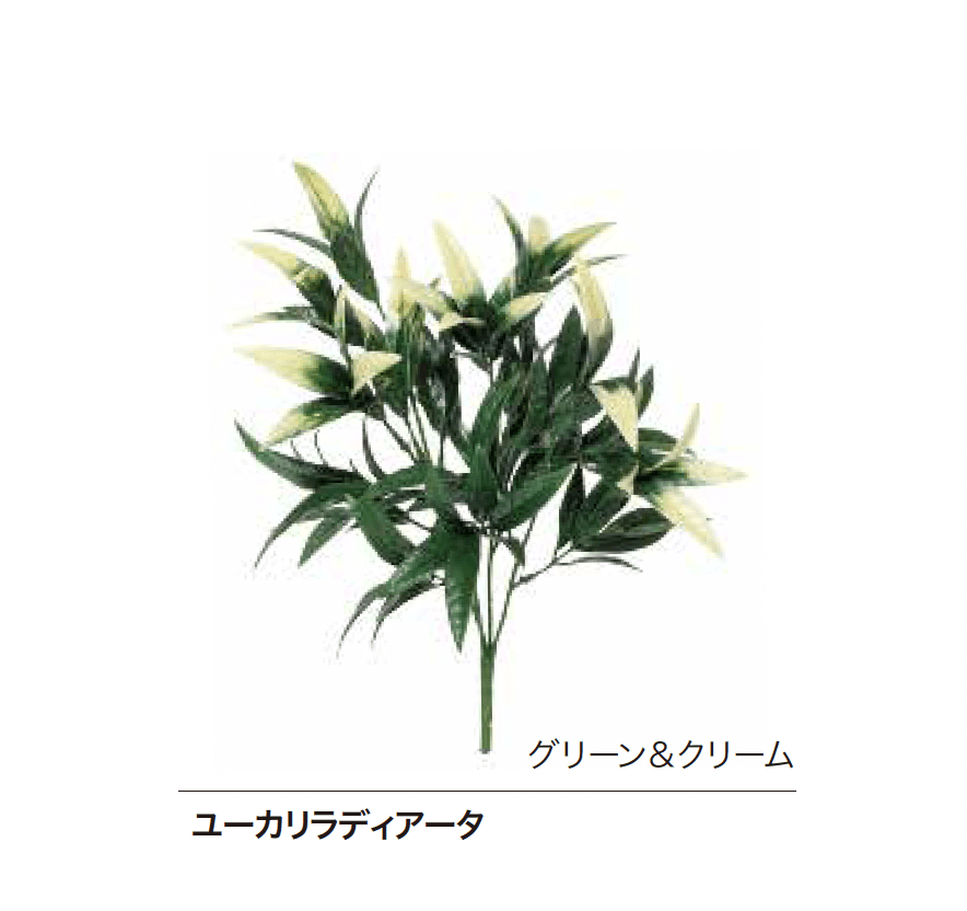 ゆとりの「Greem」のサブ画像4