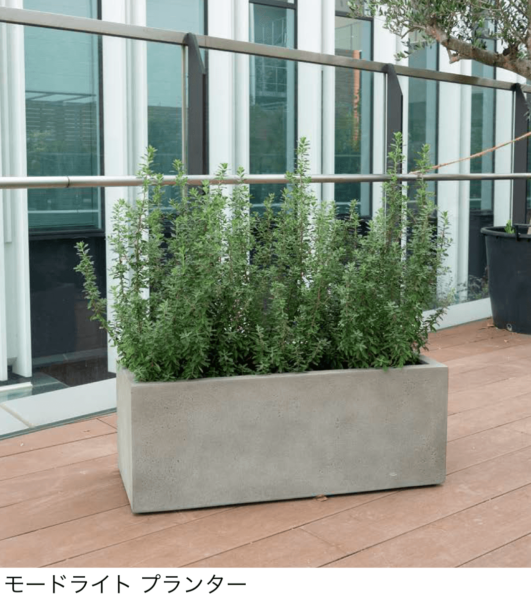 オンリーワンクラブの「モードライト」のサブ画像1