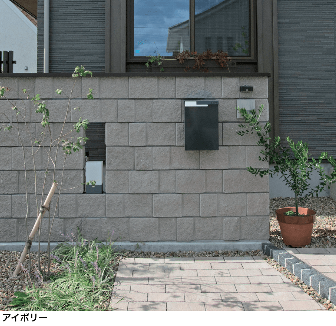 マチダコーポレーションの「ワイルド」