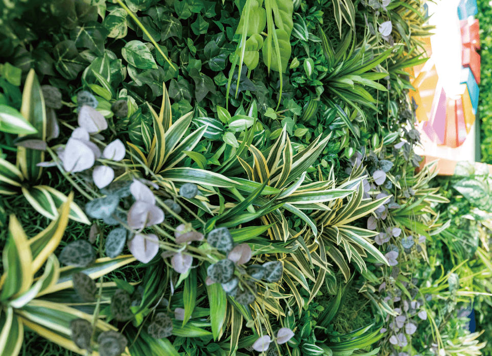 タカショーの「壁面アレンジ【2024年版】」のサブ画像2