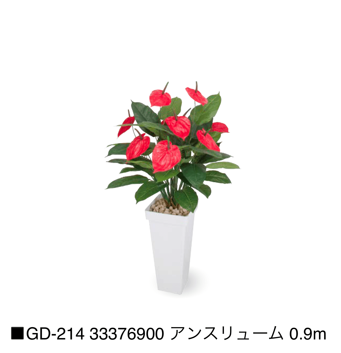 タカショーの「観葉植物【2025年版】」のサブ画像25