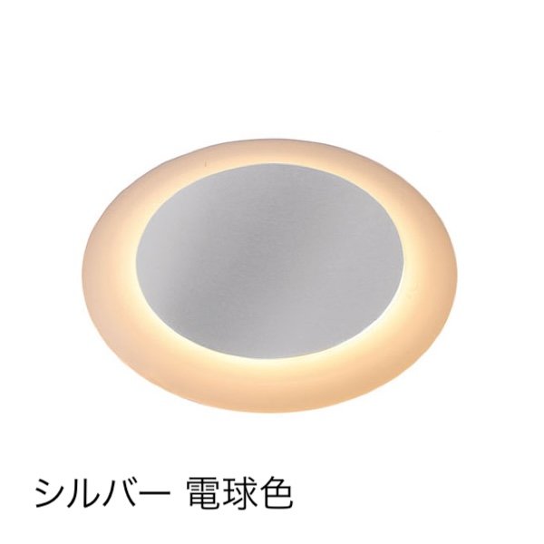 タカショーの「リングフラットライト 地中埋込用」