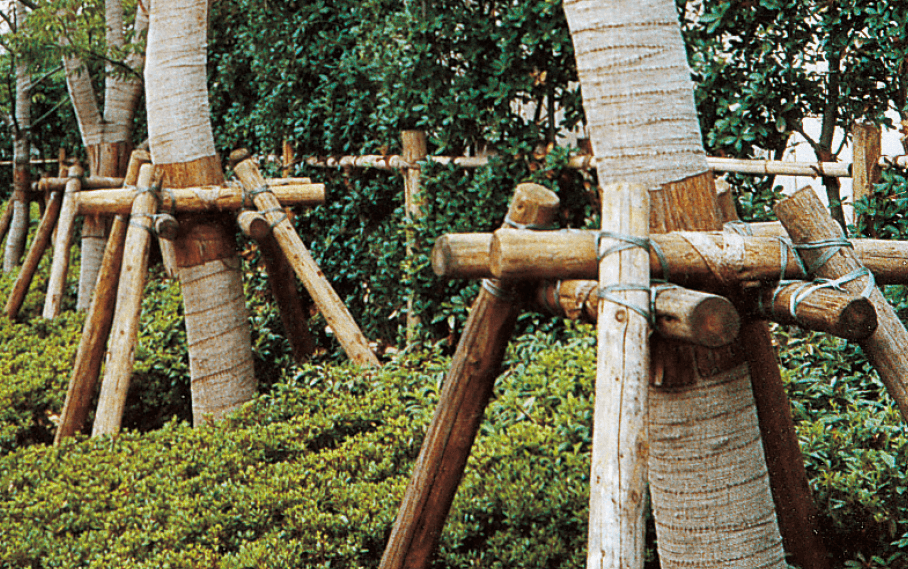 タカショー | 緑化樹用テープ/緑化マット/ヤシマット【2024年版 タカショー | 緑化樹用テープ/緑化マット/ヤシマット【2024年版