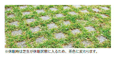 芝⽣（緑化舗装⽤）【東日本】1